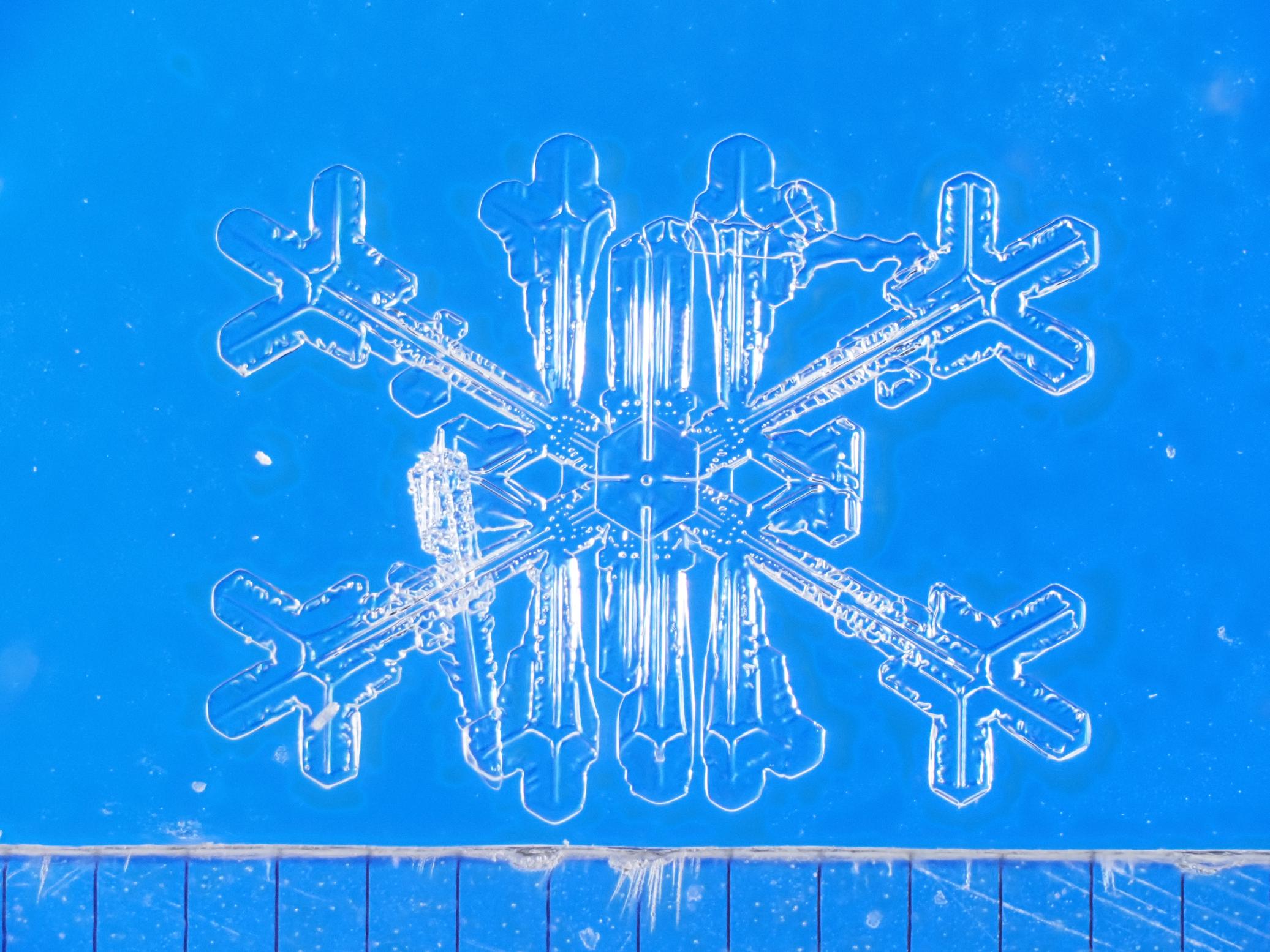 Eight-branched snow crystal / 8花