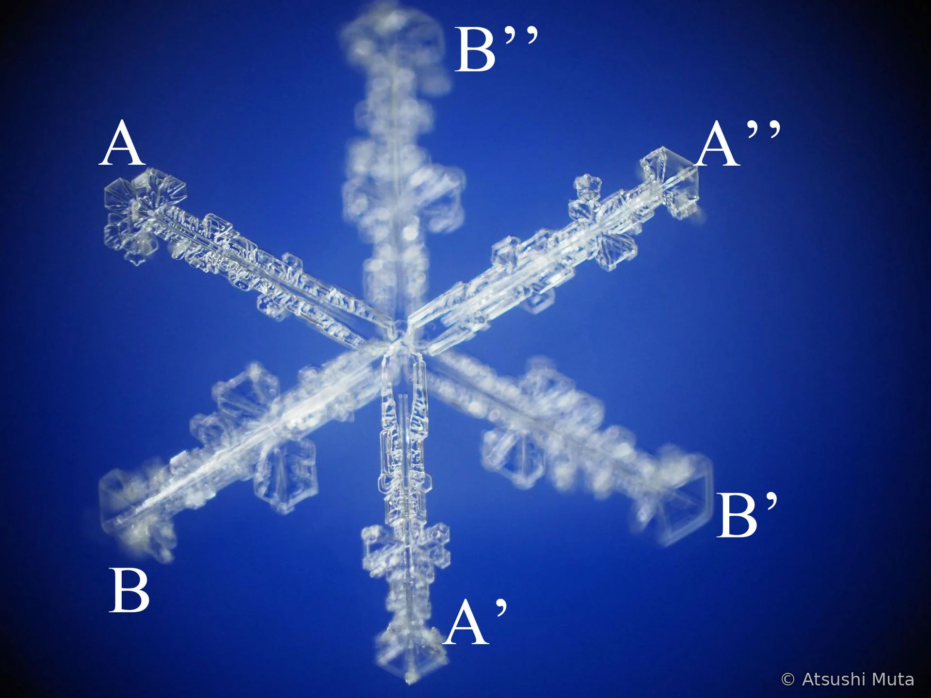 Natural combined six-branched snow crystal made of two three-branched plates at different depths