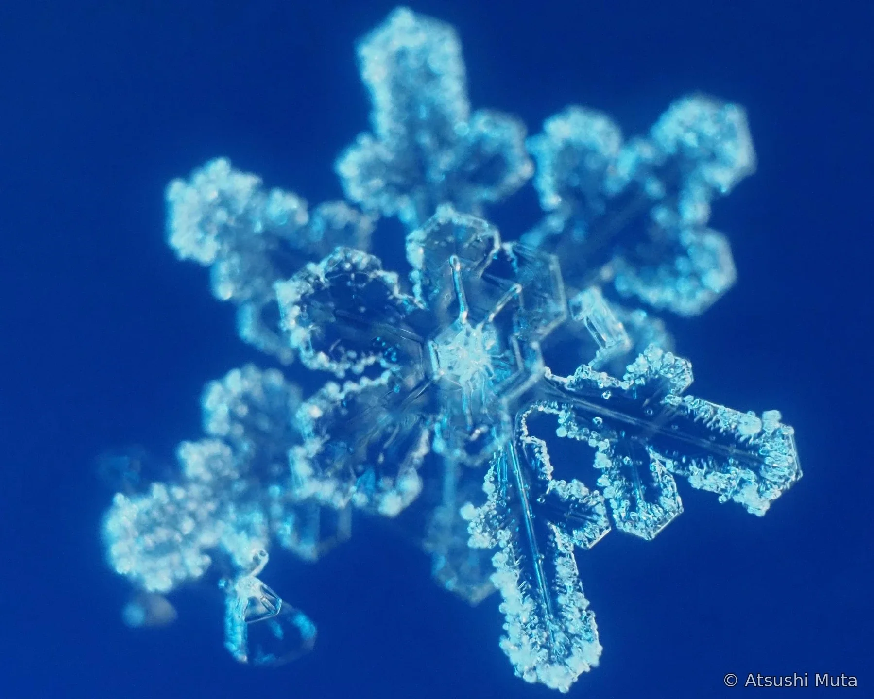 複数の結晶板が奥行き方向に重なった天然雪結晶
