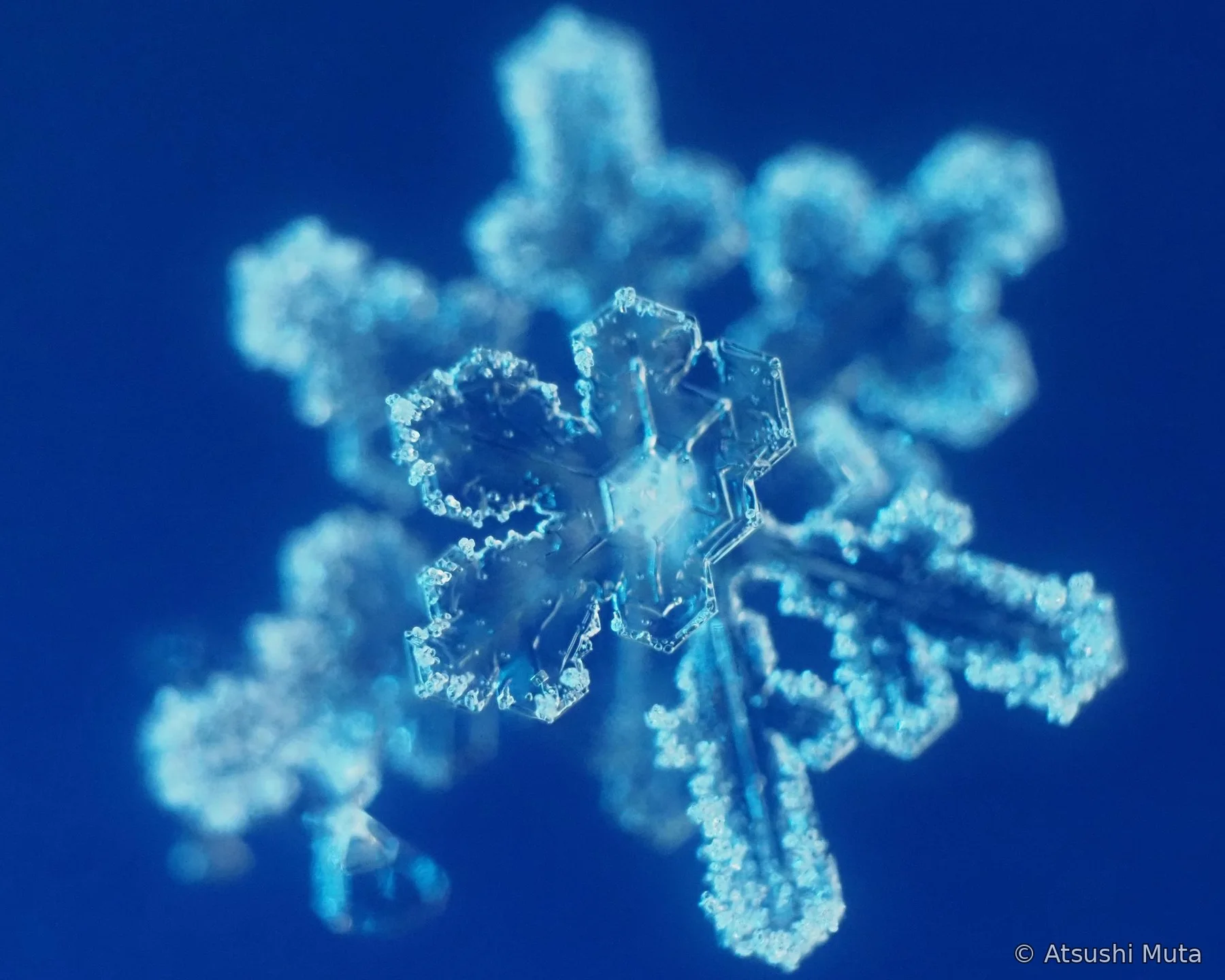 3層雪結晶の焦点系列の手前側の層にピントが合った顕微鏡写真