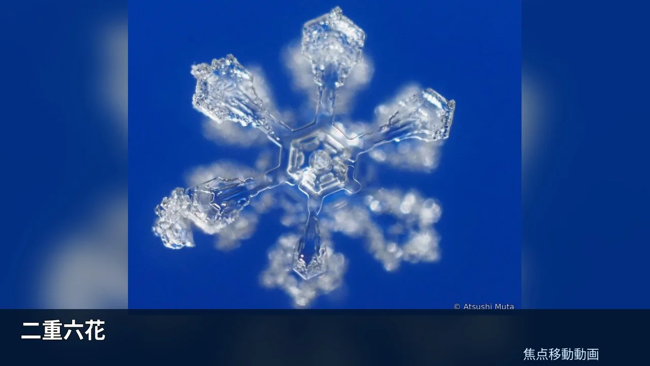 二重六花の焦点移動動画