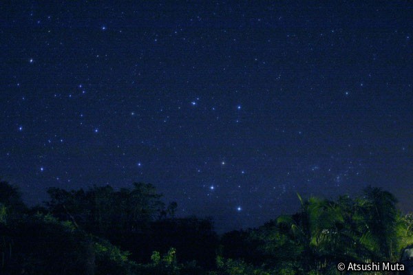 ロタ島の夜空に見える南十字星